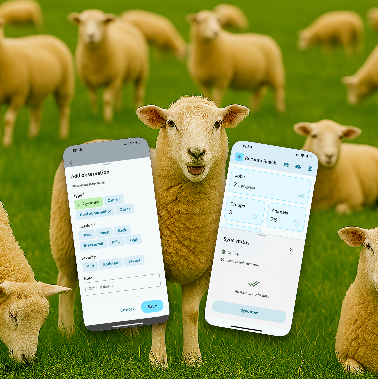 Animals with eID tags