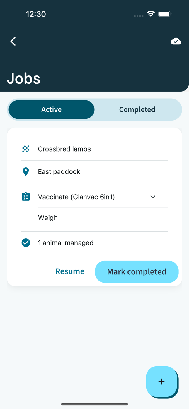 Cloven App jobs list showing an active job with vaccination and weighing tasks
